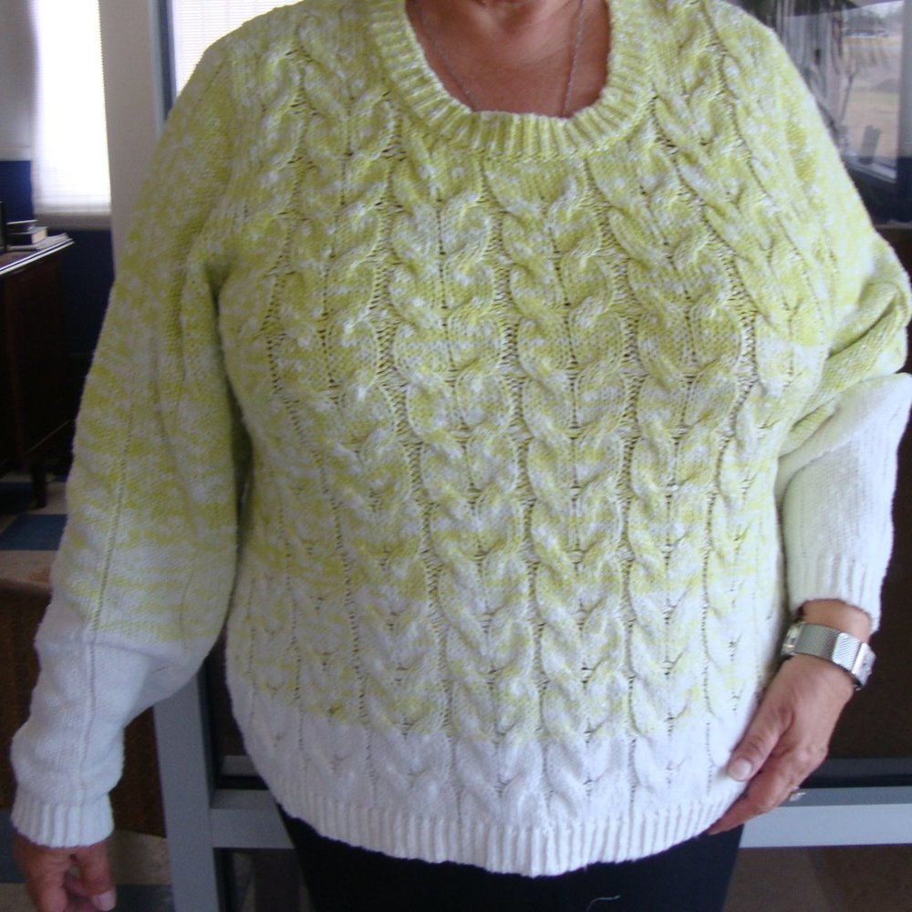 Liz Claiborne Sweater, size 3X